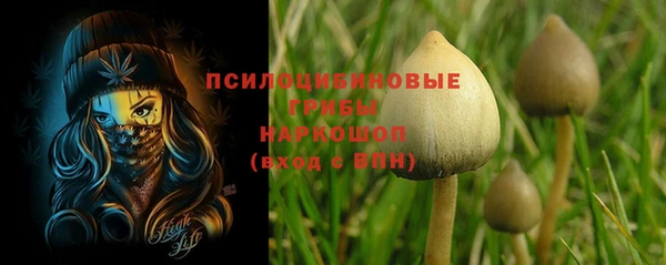 мяу мяу мука Переславль-Залесский
