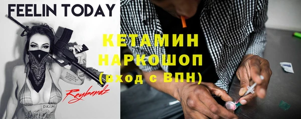 jwh Пересвет