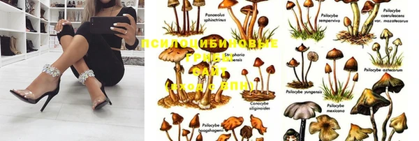 таблы Пестово