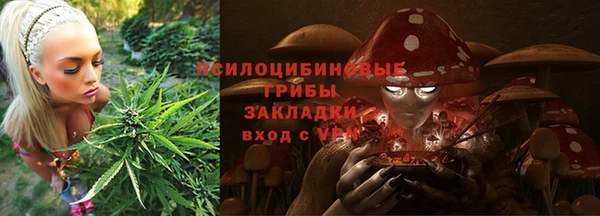jwh Пересвет