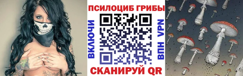 Галлюциногенные грибы Psilocybine cubensis  дарнет шоп  Грязи 