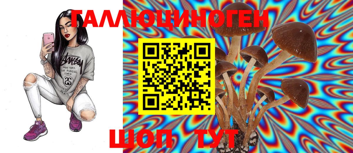 Галлюциногенные грибы прущие грибы  Псилоцибиновые грибы MAGIC MUSHROOMS  Грязи 