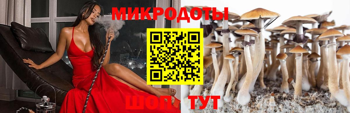 Грязи  Псилоцибиновые грибы мухоморы  Вход с VPN  Галлюциногенные грибы Cubensis 